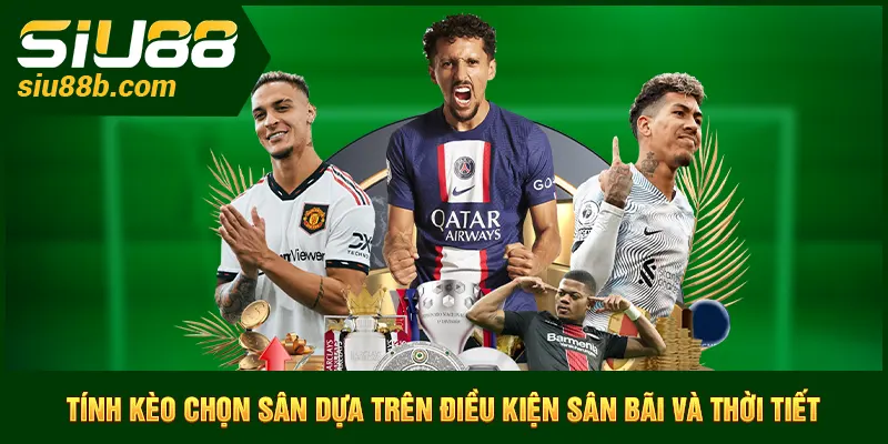 Tính kèo chọn sân dựa trên điều kiện sân bãi và thời tiết