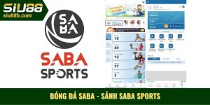 Bóng đá Saba là gì