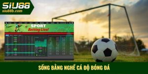 Sống bằng nghề cá độ bóng đá
