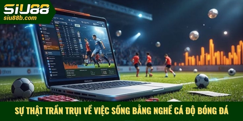 Sự thật trần trụi về việc sống bằng nghề cá độ bóng đá