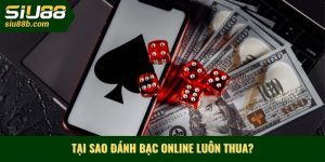 Tại sao đánh bạc online luôn thua 2025