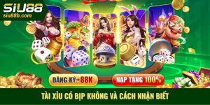 Tài xỉu có bịp không và cách nhận biết