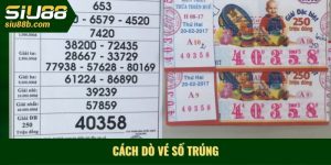Cách dò vé số trúng