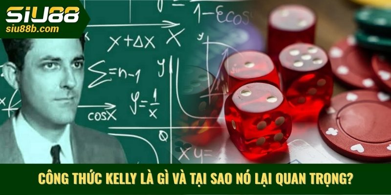 Công thức Kelly là gì và tại sao nó lại quan trọng?
